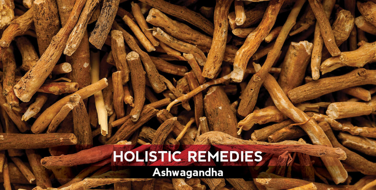 Ashwagandha: The Mysterious Healer