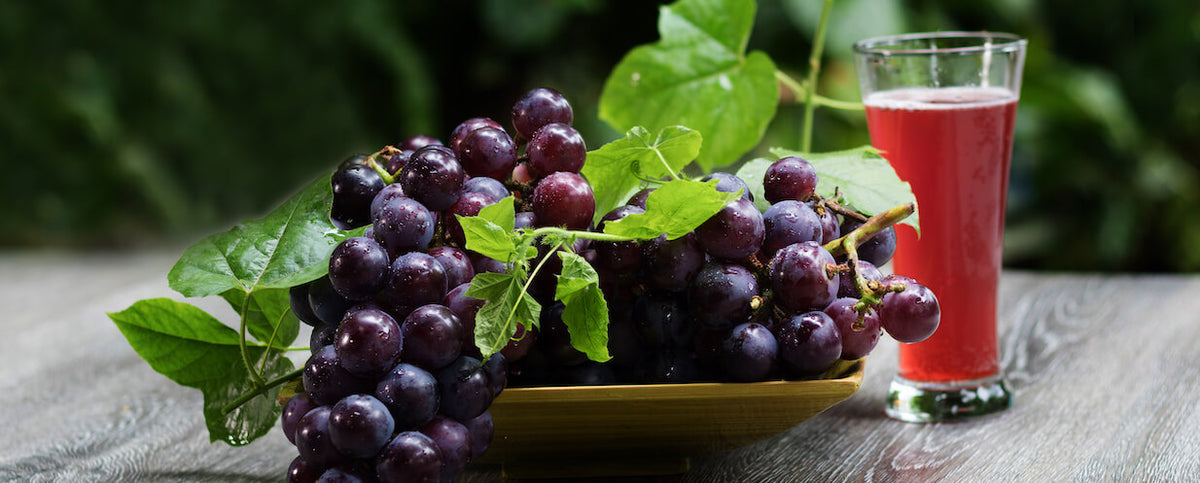 Should You Be Worried About Oxalates?
