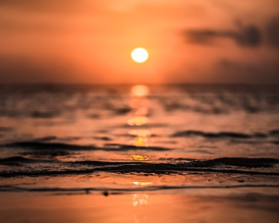 Vans + Sunsets = :)