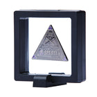 Spartan Race Shop SPARTAN Delta Icon Frame - 1pc